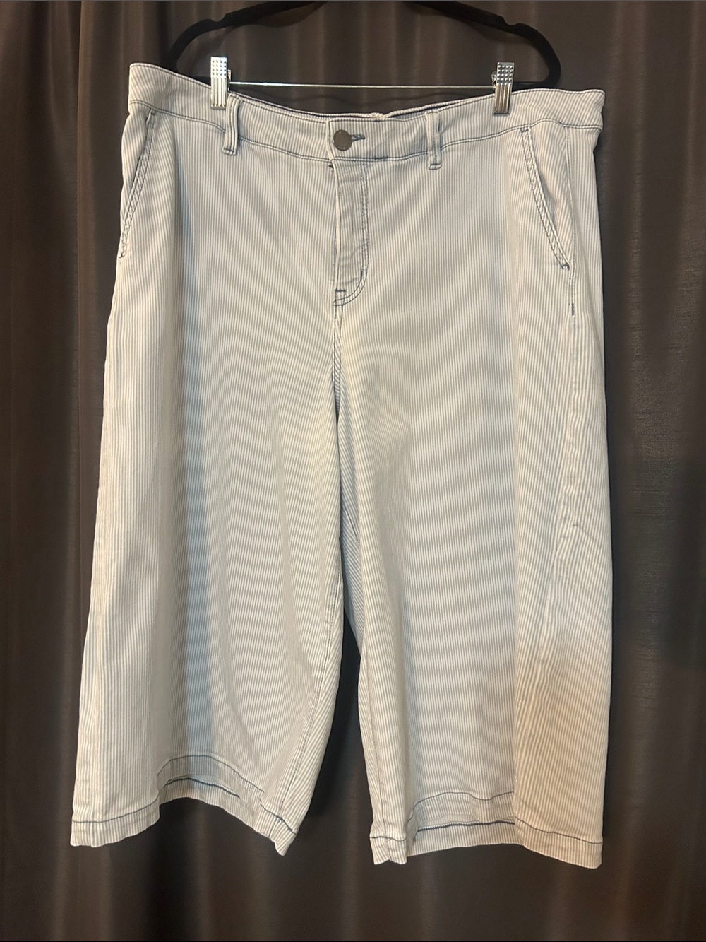 Lane Bryant Light Blue Pinstripe Flat Front Men's Shorts